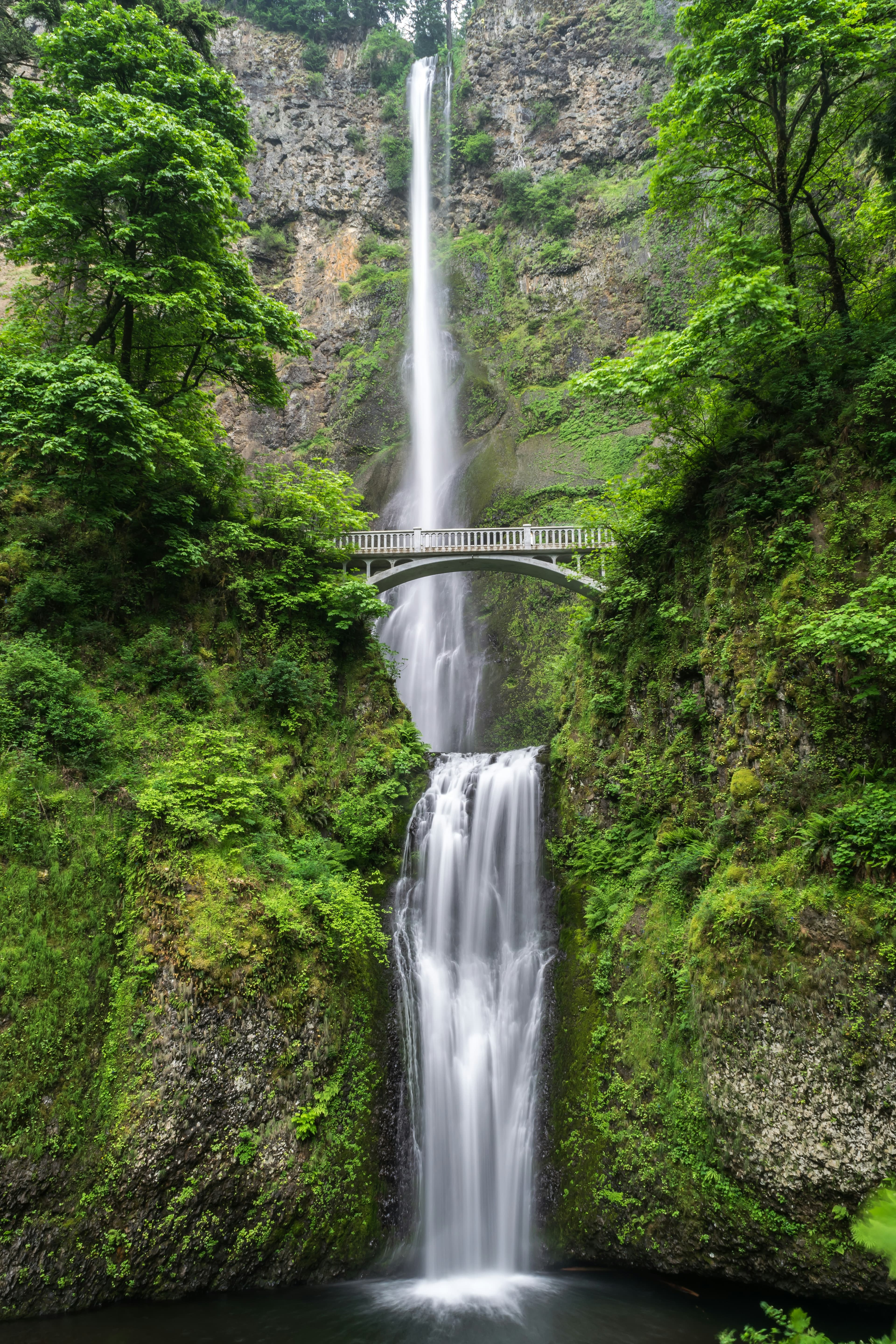 Waterfall in forest